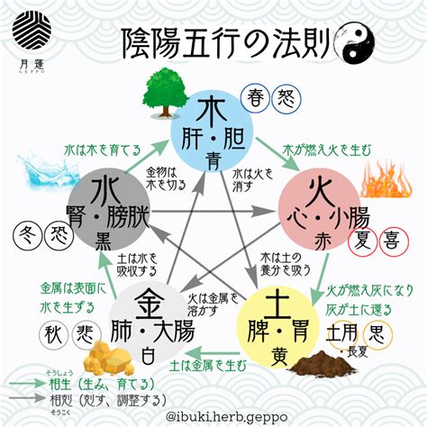 五行 陰陽師|陰陽五行説 – 陰陽道・五行説をわかりやすく解説【図。